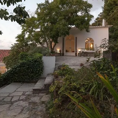 Quinta Do Griffo Colares
