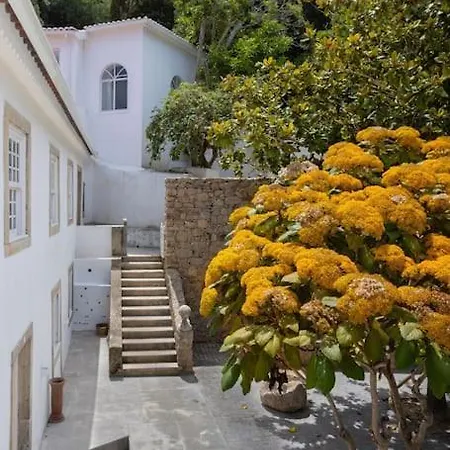 Quinta Do Griffo Colares