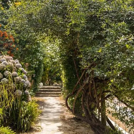 Quinta Do Griffo Colares