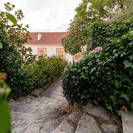 Quinta Do Griffo