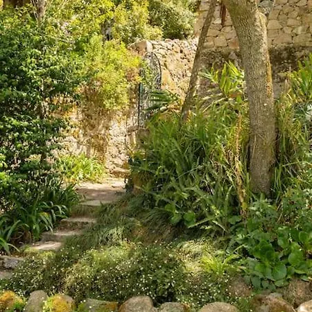 Villa Quinta Do Griffo